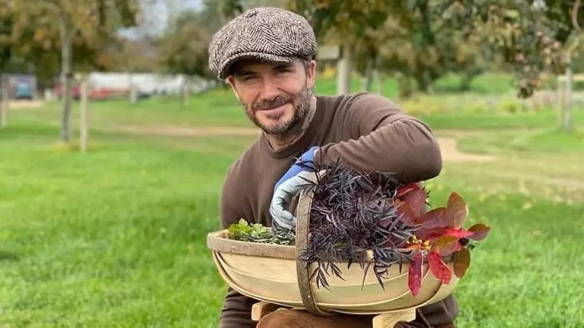 David Beckham'ın Emeklilik Hayatı ve Yeni Çiftlik Projeleri