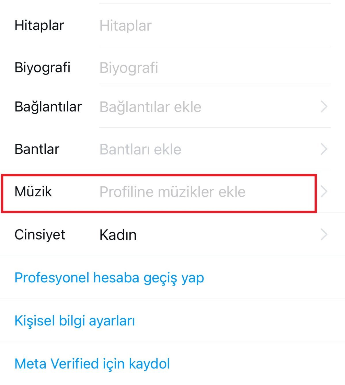 Instagram'da Profilinize Müzik Eklemek Artık Mümkün!