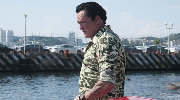 Michael Madsen'den Olaylı Boşanma Davası ve Oğlunun İntiharı